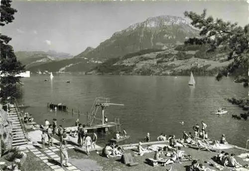 AK / Ansichtskarte 13992709 Gersau_Vierwaldstaettersee_SZ Neues Strandbad mit Frohnalpstock