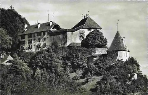 AK / Ansichtskarte 13992789 Laufen__Laufon_BL Schloss