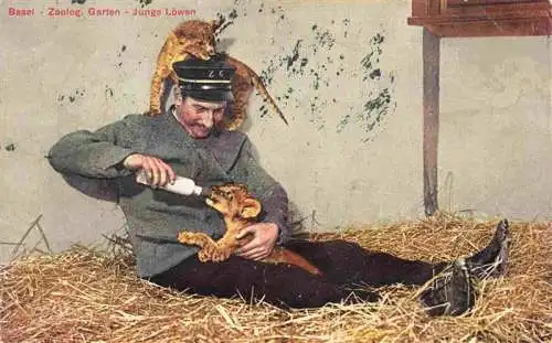 AK / Ansichtskarte  Zoo_Gardin_Zoologique-- Basel Junge Loewen