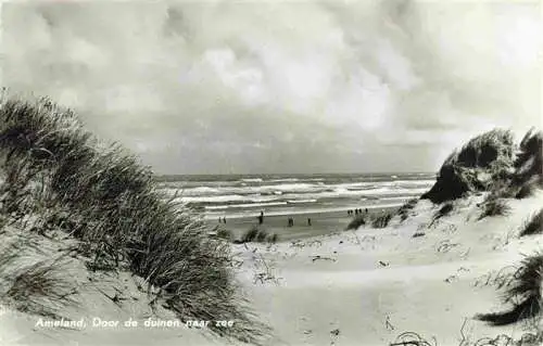 AK / Ansichtskarte 73993031 Ameland_Friesland_NL Door de duinen naar zee