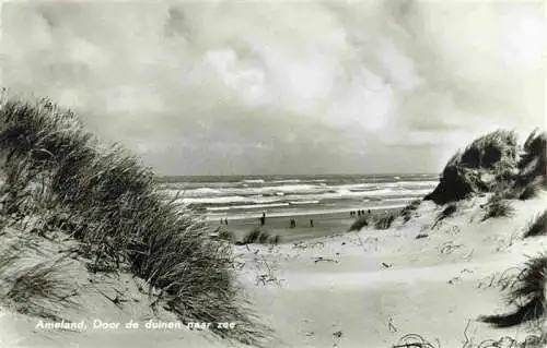 AK / Ansichtskarte  Ameland_Friesland_NL Door de duinen naar zee