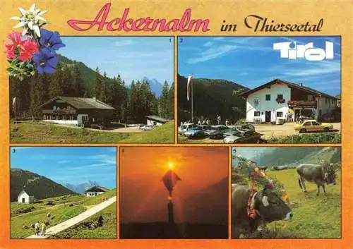 AK / Ansichtskarte 73993123 Ackernalm_1350m_Thiersee_Tirol_AT Alpengasthof Ackernalm Sennerei Blick zur Guffertspitze Morgenstimmung Almabtrieb
