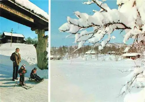 AK / Ansichtskarte  Rjukan_Telemarken_Norge Feriestedet Froystul