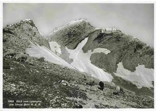 AK / Ansichtskarte  Saentis_2504m_AR Blick vom Lusengrat zum Saentisgipfel