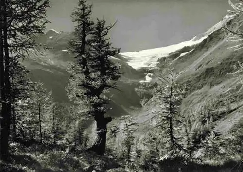 AK / Ansichtskarte  Alp_Gruem_GR mit Blick auf Piz Verona Palue Gletscher und Piz Palue