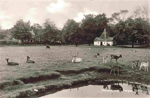 AK / Ansichtskarte 73993688 Hertenkamp_Bergen_Nordholland_NL Kapelle Tierpark