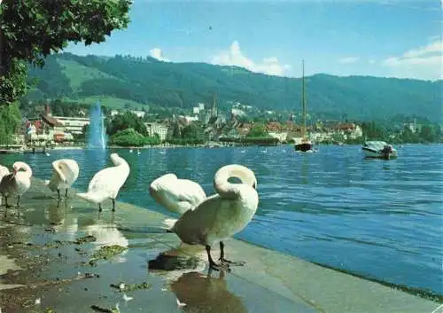 AK / Ansichtskarte  ZUG__Zugersee_ZG mit Zugerberg