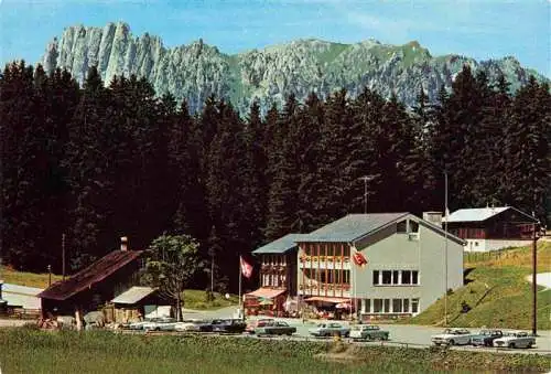 AK / Ansichtskarte  Jaunpass_FR mit Gastlosen