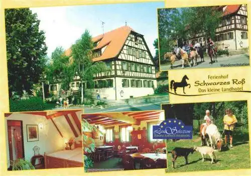 AK / Ansichtskarte  Steinsfeld_Mittelfranken Ferienhof Schwarzes Ross Das kleine Landhotel Gaststube Zimmer Wanderreitstation