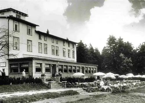 AK / Ansichtskarte  Walkenried Berghotel Stoeberhai im Harz