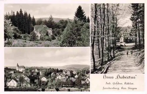 AK / Ansichtskarte  Freudenberg_Westfalen Haus Hubertus Panorama Allee