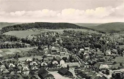 AK / Ansichtskarte  BAD_DRIBURG Fliegeraufnahme