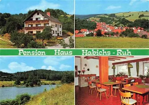 AK / Ansichtskarte  Habichsthal Pension Haus Habichs-Ruh Gastraum Panorama Landschaft See