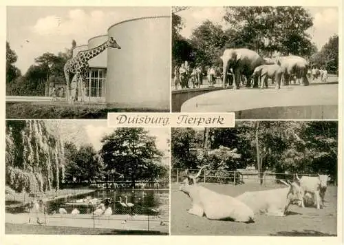 AK / Ansichtskarte 73995044 Zoo_Gardin_Zoologique-- Duisburg Tierpark Giraffe Elefant