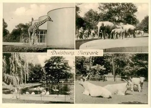 AK / Ansichtskarte  Zoo_Gardin_Zoologique-- Duisburg Tierpark Giraffe Elefant