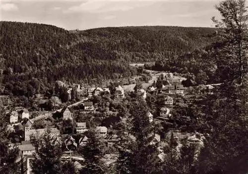 AK / Ansichtskarte  Neuenburg__Rhein Panorama