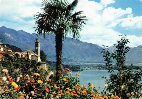 AK / Ansichtskarte  Ronco_Ascona_Locarno_Lago_Maggiore_TI Panorama