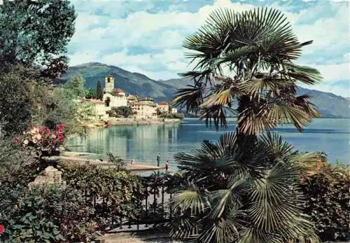 AK / Ansichtskarte  Brissago_Lago_Maggiore_TI Panorama