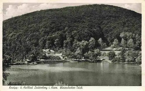 AK / Ansichtskarte  Bad_Lauterberg Wiesenbecker Teich