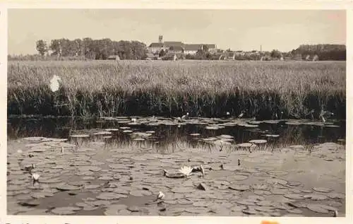 AK / Ansichtskarte  Buchau__Federsee_Bad Seerosenteich