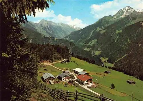 AK / Ansichtskarte  Astegg_Zillertal_Tirol_AT mit Brandberger Kolm und Ahornstpitze