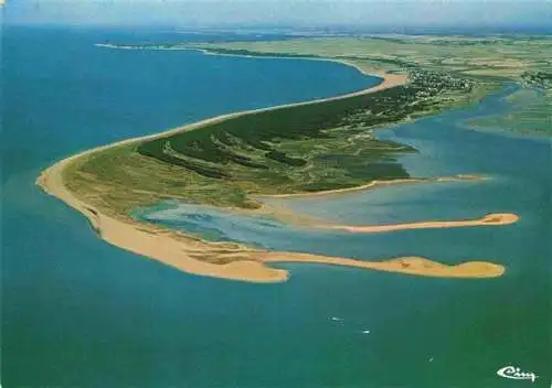 AK / Ansichtskarte  La_Pointe_d_Arcay_L_Aiguillon-sur-Mer_85_Vendee Reservee d'oiseaux aquatiques Vue aerienne