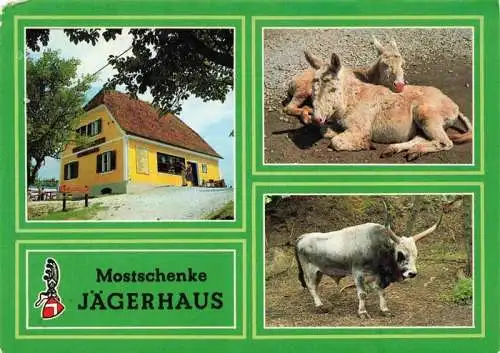 AK / Ansichtskarte  Herberstein_Steiermark_AT Mostschenke Jaegerhaus im Tierpark Herberstein Rind und Esel