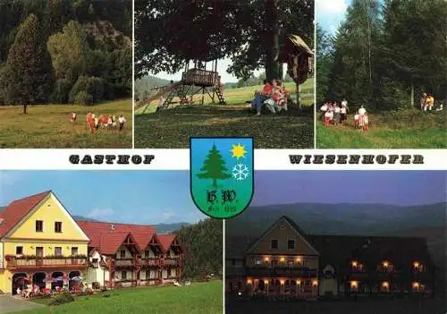 AK / Ansichtskarte  Miesenbach_Allgaeu Gasthof Wiesenhofer Nachtaufnahme Riner Wanderer Aussichtsplattform