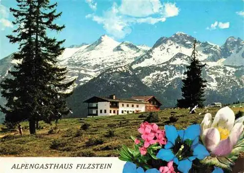 AK / Ansichtskarte 73996270 Krimml_1076m_Pinzgau_AT Alpengasthaus Filzstein