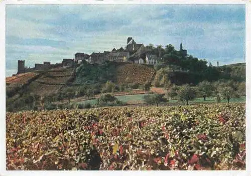 AK / Ansichtskarte  Neuleiningen_Neu-Leiningen_Rheinland-Pfalz Panorama