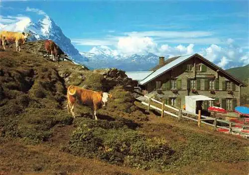 AK / Ansichtskarte  Grindelwald_BE Hotel Grosse Scheidegg mit Eiger
