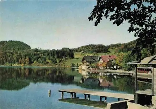 AK / Ansichtskarte  Fuschl_See_Salzkammergut_AT See Panorama