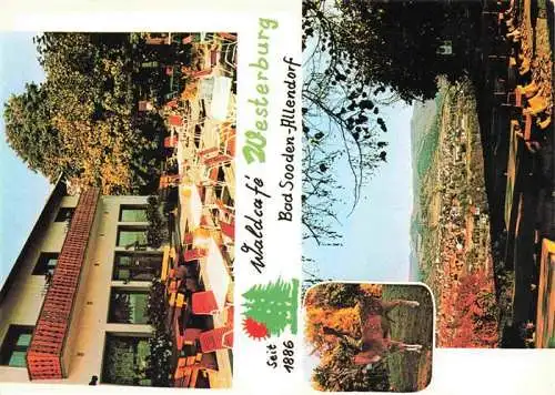 AK / Ansichtskarte  BAD_SOODEN-ALLENDORF Waldcafe Westerburg Freiterrasse Panorama
