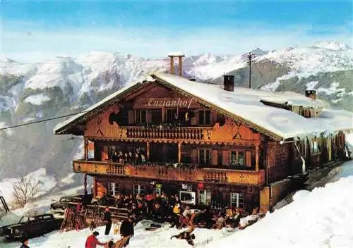 AK / Ansichtskarte  Zell_am_Ziller_Tirol_AT Alpengasthof Enzianhof