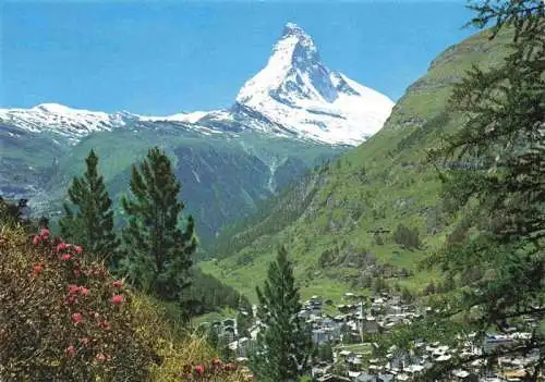 AK / Ansichtskarte  Zermatt_VS Panorama Blick gegen Matterhorn Walliser Alpen