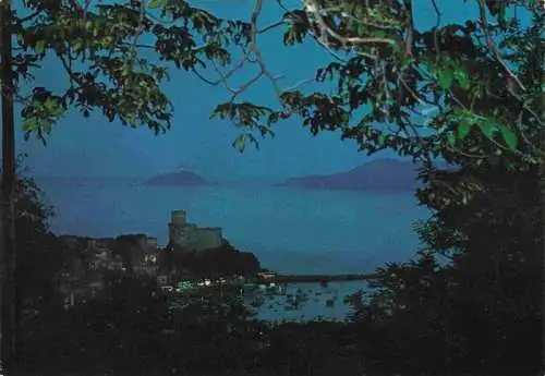 AK / Ansichtskarte  Lerici_LA_SPEZIA_Liguria_IT Panorama Notturno