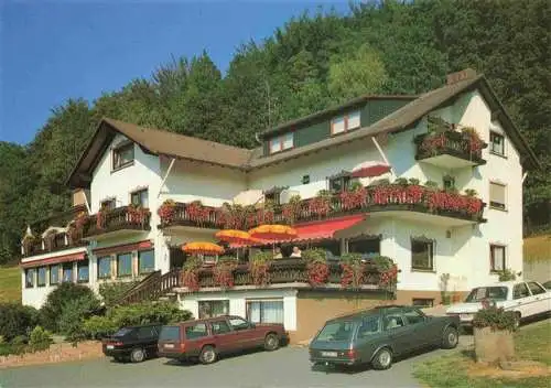 AK / Ansichtskarte  Rohrbach_Reichelsheim Gasthaus Pension Laermfeuer