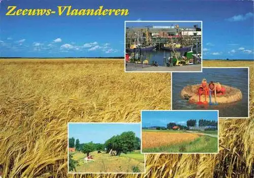 AK / Ansichtskarte  Zeeuws_Zeeuwsch_Vlaanderen_NL Panorama Hafen Teilansichten