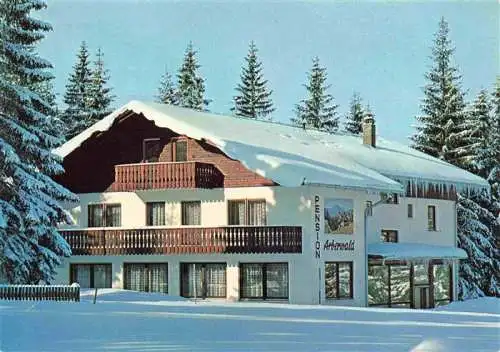 AK / Ansichtskarte  Bayerisch_Eisenstein Pension Arberwald