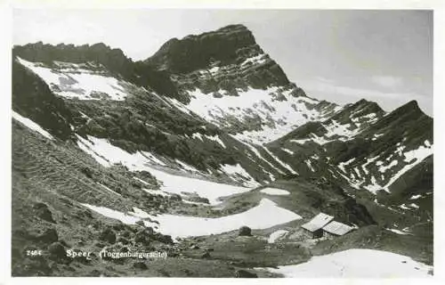 AK / Ansichtskarte  Speer_1954m_Toggenburg_SG Panorama