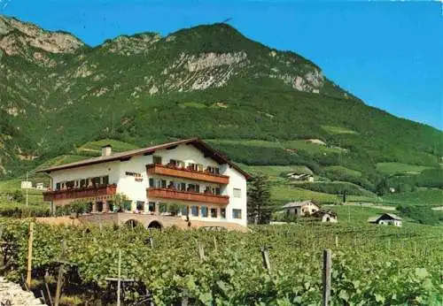 AK / Ansichtskarte  Tramin_Suedtirol_IT Hotel Restaurant Winzerhof