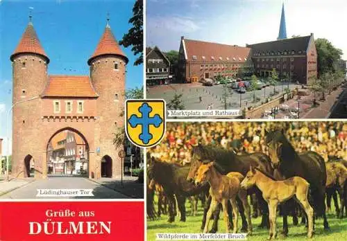 AK / Ansichtskarte  Duelmen Luedinghauser Tor Marktplatz Rathaus Wildpferde im Merfelder Bruch