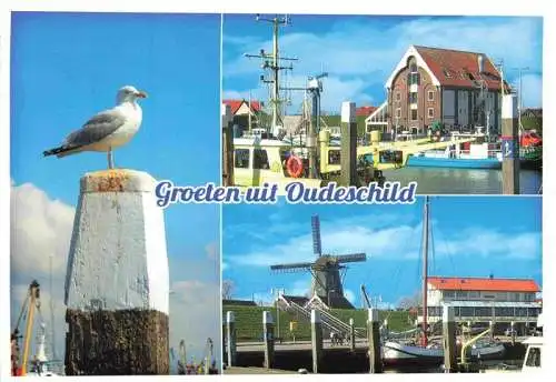 AK / Ansichtskarte  Oudeschild_Texel_Watteninsel_NL Moeve Hafenpartie Windmuehle