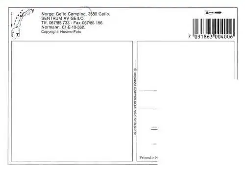 AK / Ansichtskarte  Geilo_Norge Panorama Campingplatz Sentrum AV