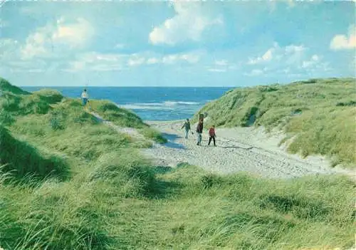 AK / Ansichtskarte  Vesterhavet_Insel_Fano_DK In den Duenen