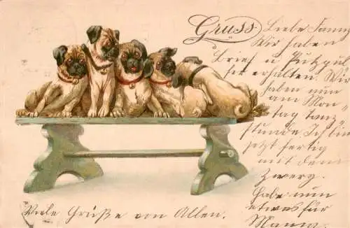 AK / Ansichtskarte  Hunde_dogs_chiens Mops Litho 