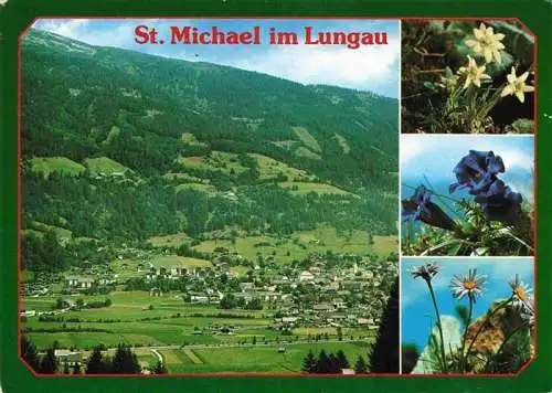 AK / Ansichtskarte  St_Michael_Lungau_AT Fliegeraufnahme Alpenflora