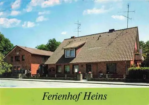 AK / Ansichtskarte  Undeloh Ferienhof Heins