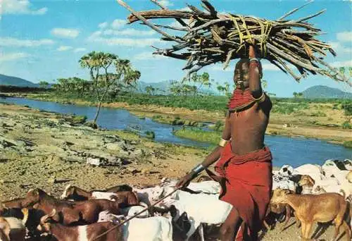 AK / Ansichtskarte  Kenya_Kenia Cattle Herd Samburu Uaso Nyiro River