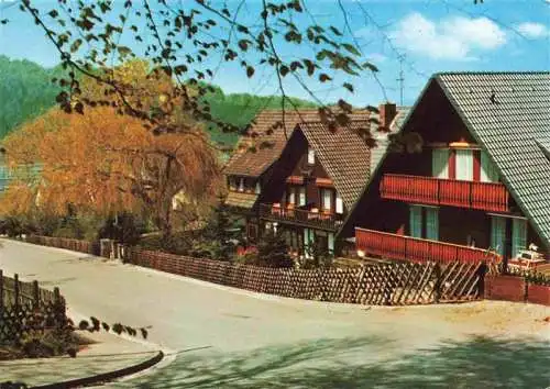 AK / Ansichtskarte  Bodenwerder Haus Hubertus Pension Cafe